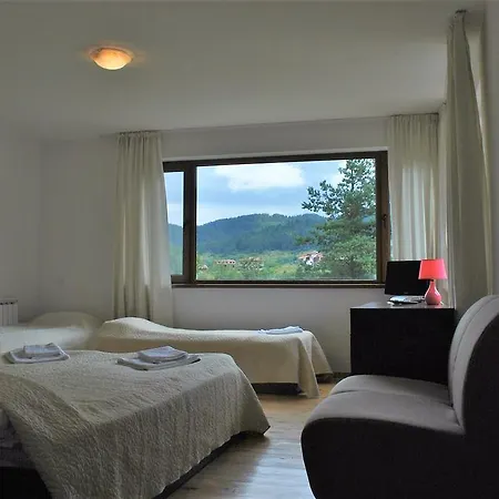 ゲストハウス Mountain View *